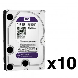 WD10PURX-78